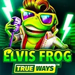 Elvis Frog